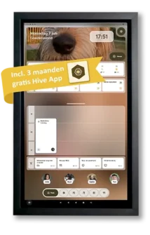 {{brizy_dc_image_alt entityId=